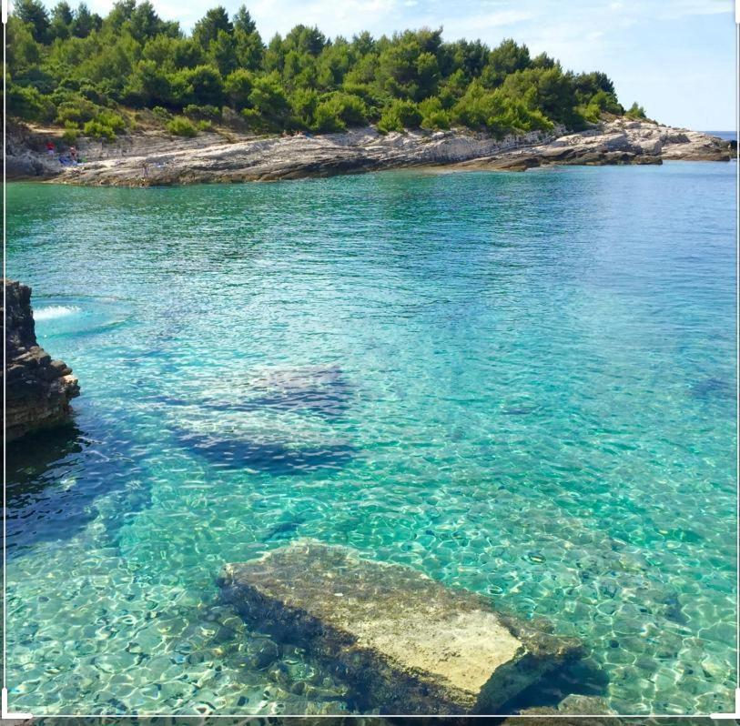 Villa Cube Premantura Dış mekan fotoğraf