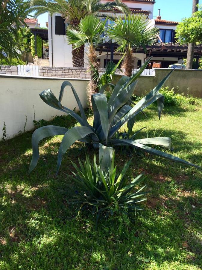 Villa Cube Premantura Dış mekan fotoğraf